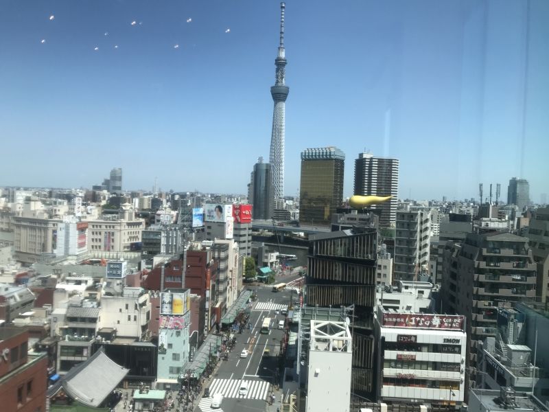 Tokyo Private Tour - Tokyo Skytree : View from Asakusa