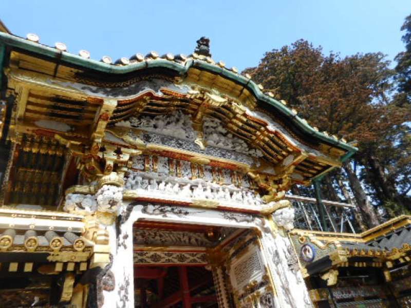Nikko Private Tour - Toshogu Shrine