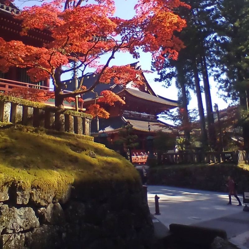 Nikko Private Tour - Rinnoji Temple (Nov. 6, 2019)