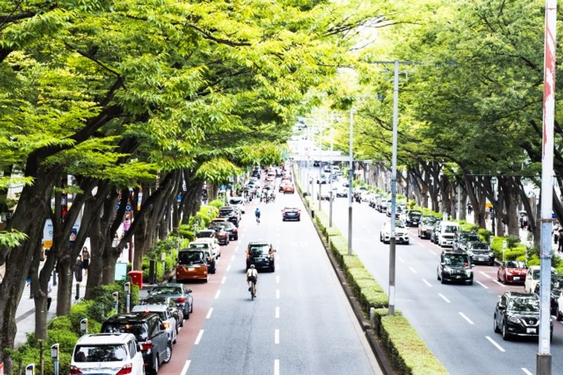 Tokyo Private Tour - Omotesando Street