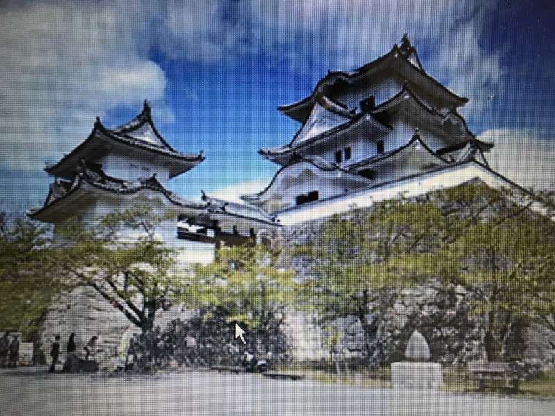 Mie Private Tour - Iga Ueno Castle