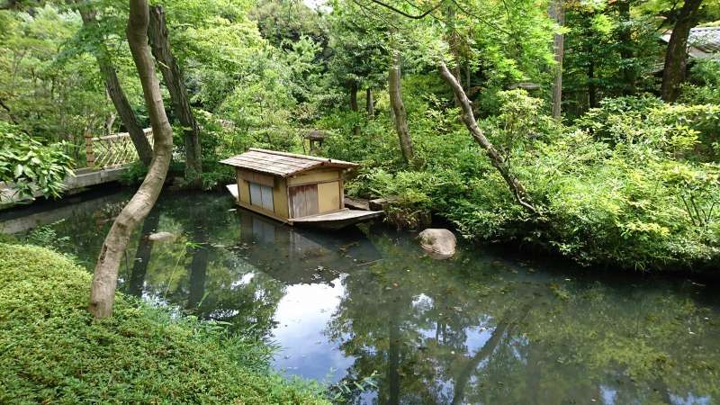 Tokyo Private Tour - Garden of Nezu museum(Omote-Sando)