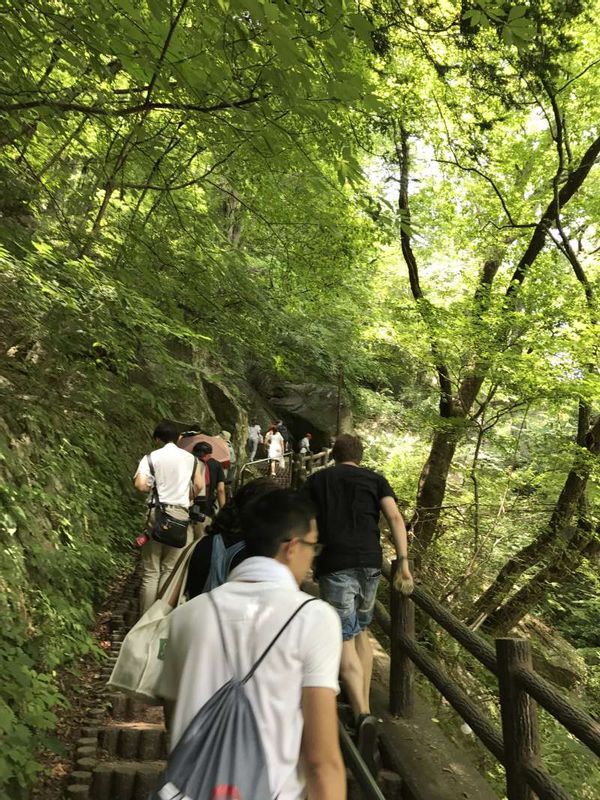 Yamanashi Private Tour - green in summer, red in autumn