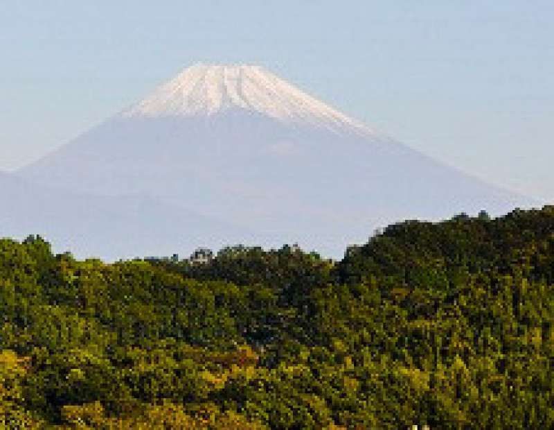 Other Shizuoka Locations Private Tour - great view from the tea field