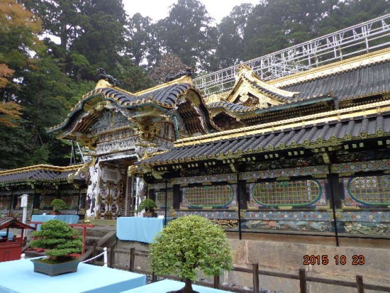 Nikko Private Tour - Toshogu Shrine