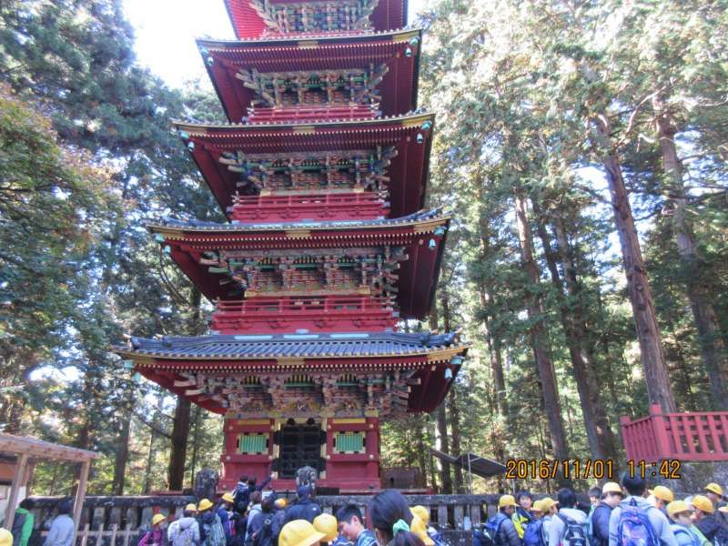 Nikko Private Tour - Toshogu Shrine