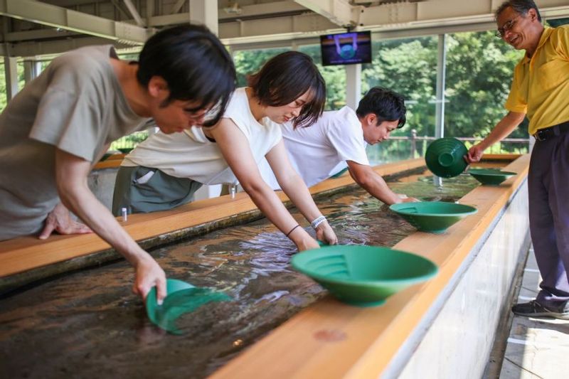 Sado Private Tour - panning for gold