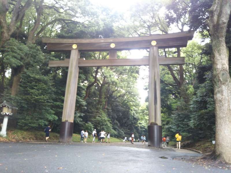 Tokyo Private Tour - Meiji Shrine