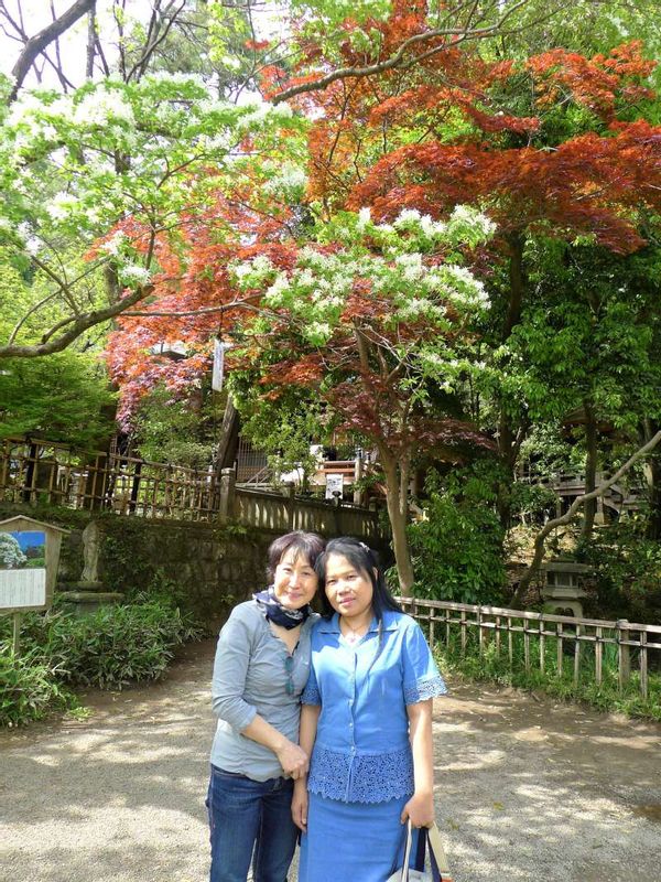 Tokyo Private Tour - Beautiful Jindaiji Temple is the second oldest temple in Tokyo.