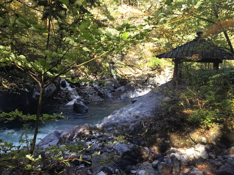 Nikko Private Tour - Valley of Kanmangafuchi Abyss