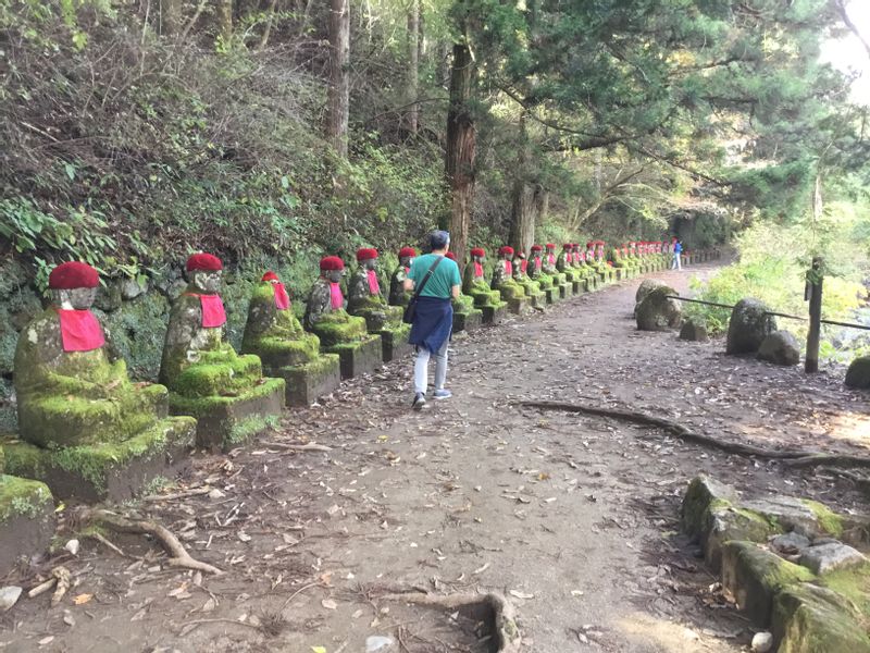 Nikko Private Tour - Kanmangafuchi Abyss