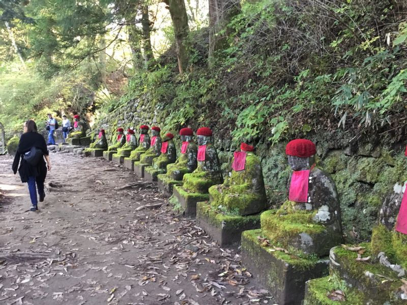 Nikko Private Tour - Kanmangafuchi Abyss