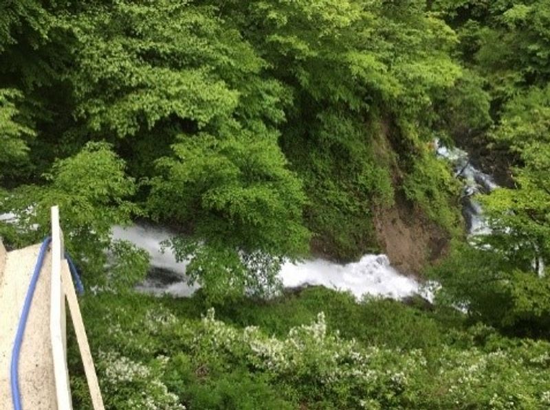 Nikko Private Tour - Kegon -fall created by water flow from Chuzenji la