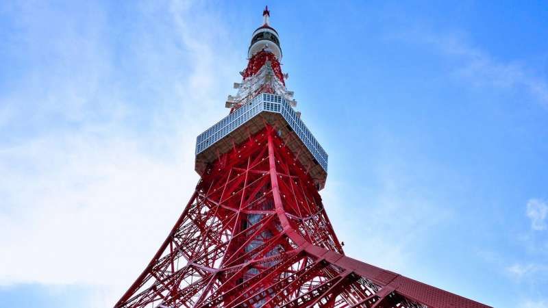 Tokyo Private Tour - Tokyo Tower