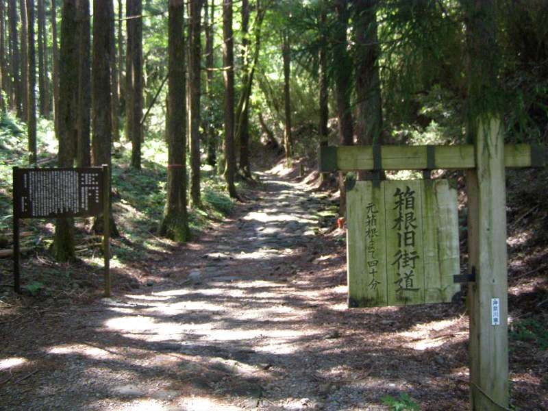 Hakone Private Tour - Four-hundred-year-old Tokaido Road partially still remains in Hakone.