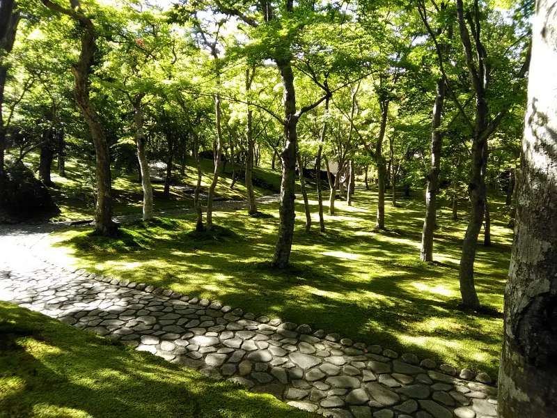 Hakone Private Tour - Beautiful moss garden at Hakone Museum