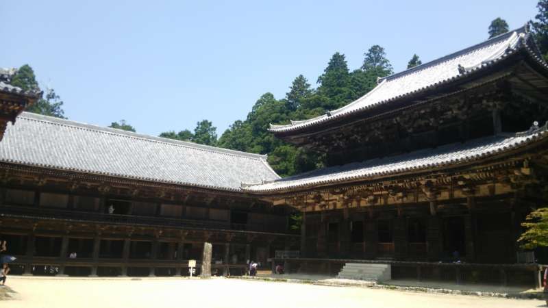 Himeji Private Tour - Shoshazan Engyoji Temple is a sacred place of Buddhism to purify your mind.