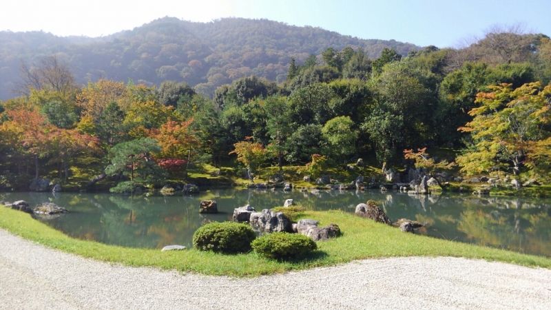 Kyoto Private Tour - null