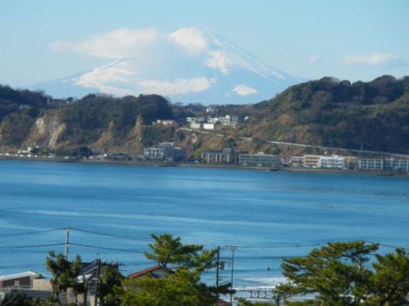 Kamakura Private Tour - Mt, Fuji viewed from the hillside at the back of Komyoji Temple