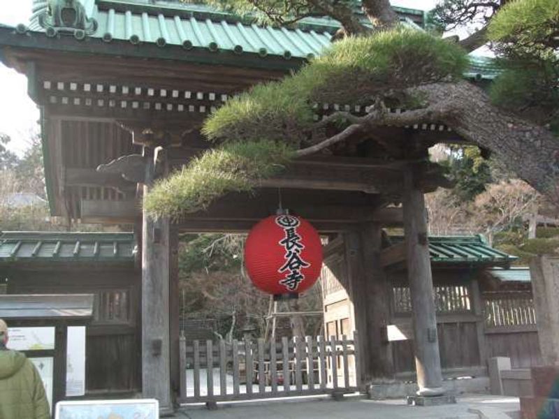 Kamakura Private Tour - Hase Temple, the second oldest temple in Kamakura