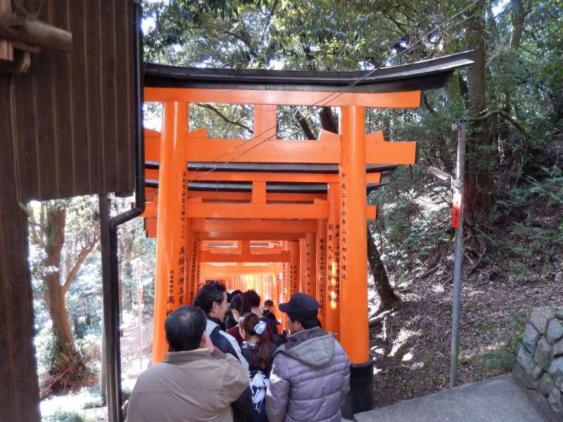 Kyoto Private Tour - Fushimi Inari is famous for thousands of shrine gates which are donated by a Japanese business. First, Fushimi inari was the god of rice, then merchants and manufacturers have traditionally worshiped Fushimi Inari as the patron of business,