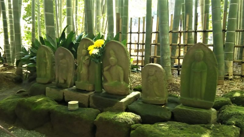 Kamakura Private Tour - In the bamboo grove of Hokokuji temple