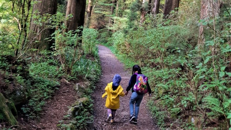 Hakone Private Tour - Walking along the Historical Cedar Avenue