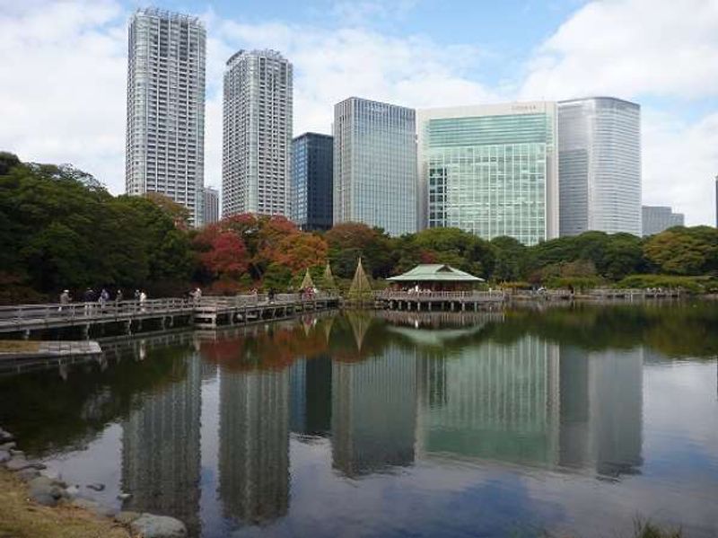 Tokyo Private Tour - Hamarikyu garden - Lovely Japanese garden to walk around.  