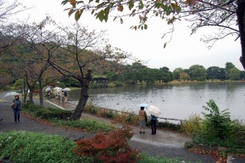 Yokohama Private Tour - Sankei-en Japanese founded in 1906