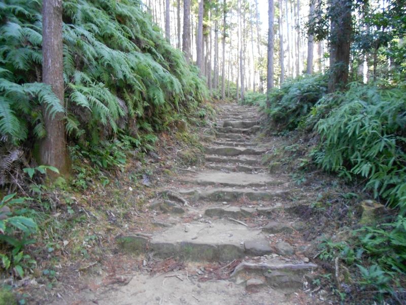 Wakayama Private Tour - Ancient pilgrimage road near Hongu grand shrine.