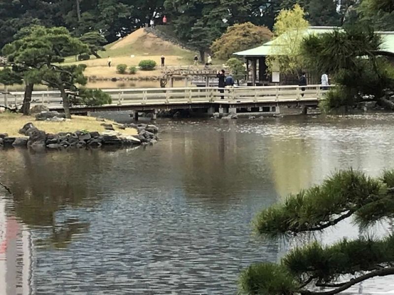 Tokyo Private Tour - Hama Rikyu Garden - one of Tokyo's most beautiful authentic Japanese gardens