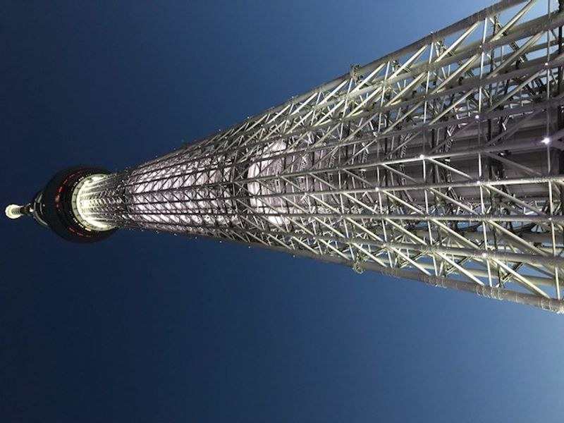 Tokyo Private Tour - Japan`s highest broadcast tower and construction