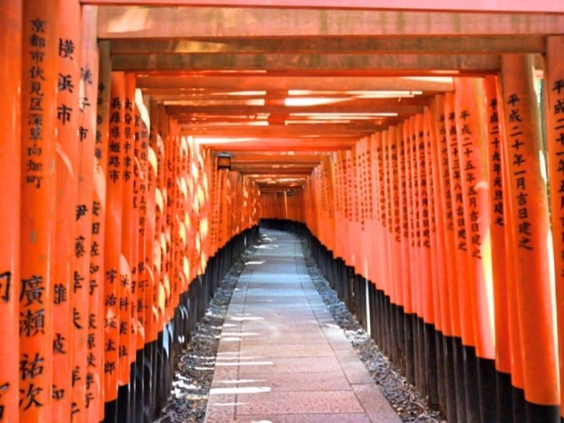 Kyoto Private Tour - Thausand Torii gates all lined up in a row