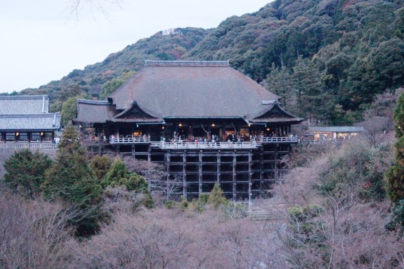 Kyoto Private Tour - amazing carpentary skill to assemble this building with out a nail