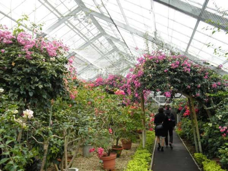 Kanagawa Private Tour - You can enjoy wide variety of tropical flowers like orchids in the botanical greenhouse in the historic park, Hakone Gora Park.
Also, you can attend to tea ceremony in a humble cottage, or stroll around the fountain enjoying the greenery in the park.
