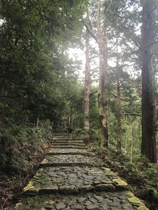 Kumano Private Tour - Kumano pilgrimage road