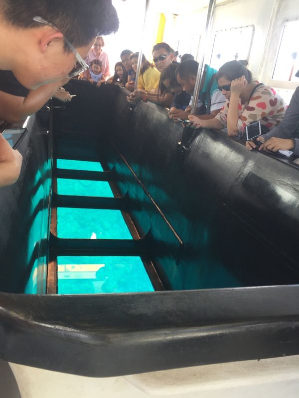 Okinawa Remote Islands Private Tour - On the glass bottomed boat,
if we are lucky we can see sea turtles from the boat