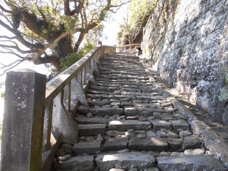 Shimizu Private Tour - 1,100 stone steps to the top of Kunozan