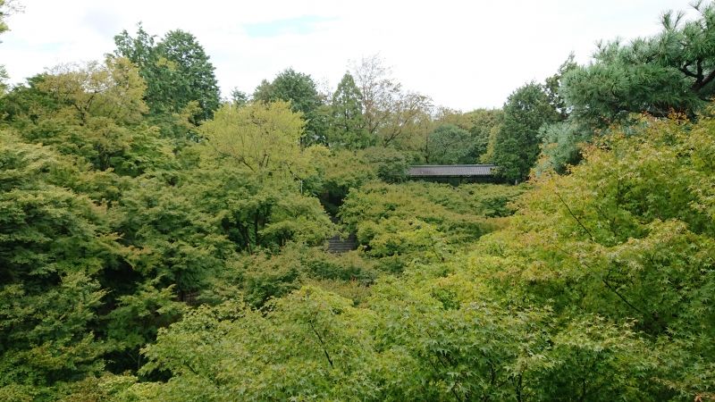 Kyoto Private Tour - Tofukuji Temple in May