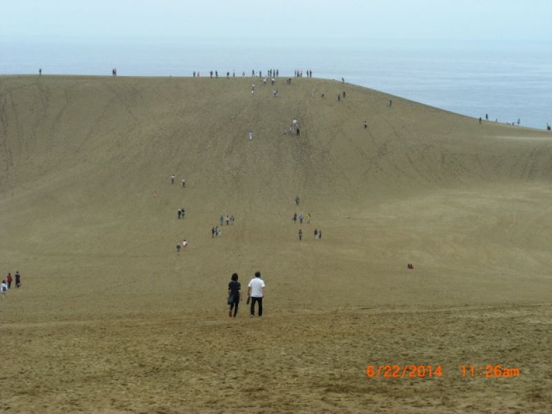 Tottori Private Tour - Tottori Sand Dunes.