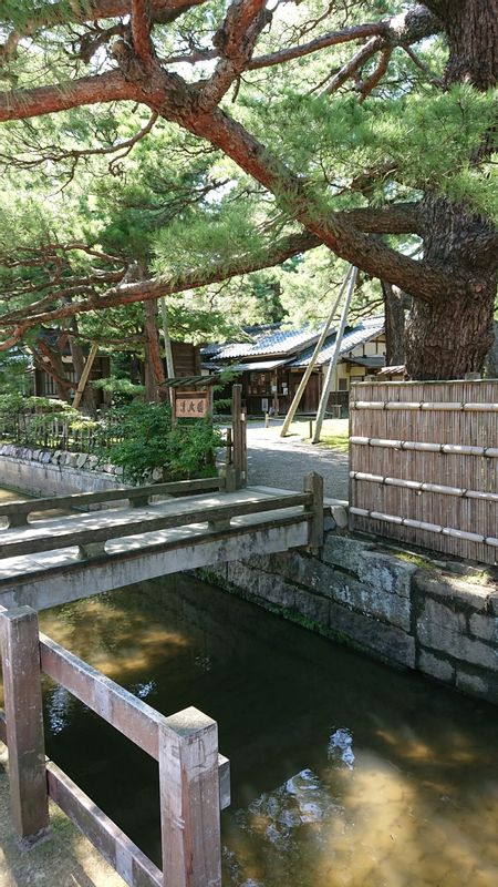 Niigata Private Tour - Japanese Garden Shimizuen