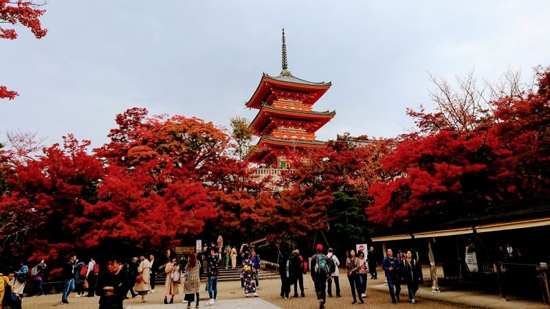 Kyoto Private Tour - Kiyomizudera Temple in a fall