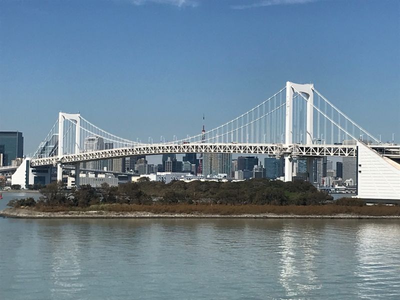 Tokyo Private Tour - Rainbow Bridge with the Tokyo Skyline in the background. (#4)