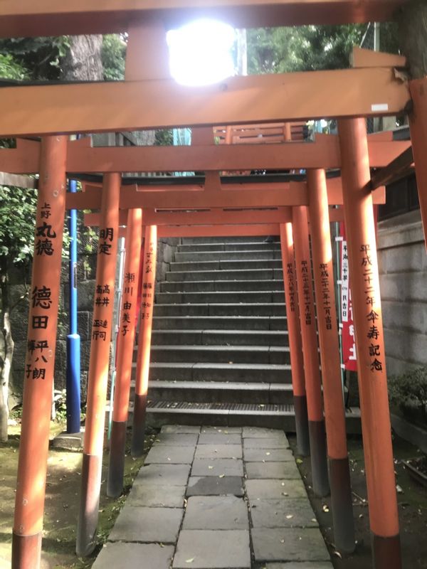 Tokyo Private Tour - Ueno Park : Torii Gates at Hanazono Shrine