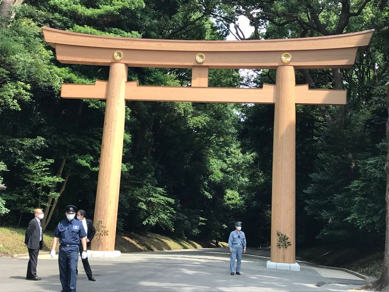 Tokyo Private Tour - Torii Gate at Meiji Shrine