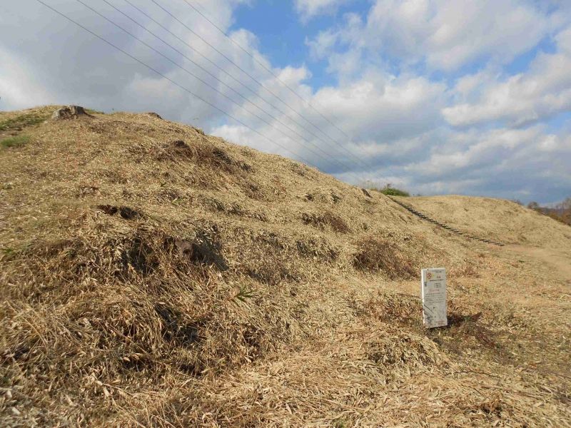 Wakayama Private Tour - The biggest tomb mound in this region.