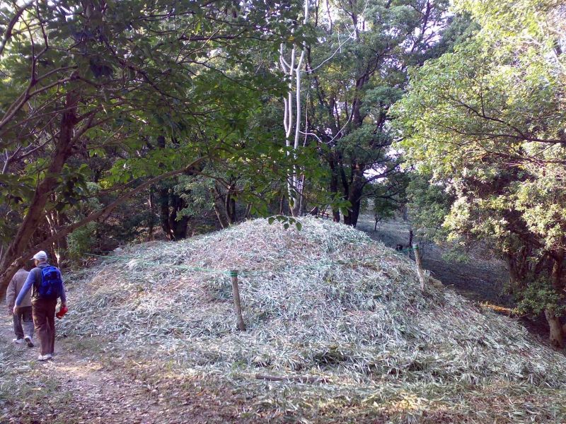 Wakayama Private Tour - A small tomb mound at "Fudoki no-oka". There are about 800 mounds around here, built in end of fourth to fifth century.