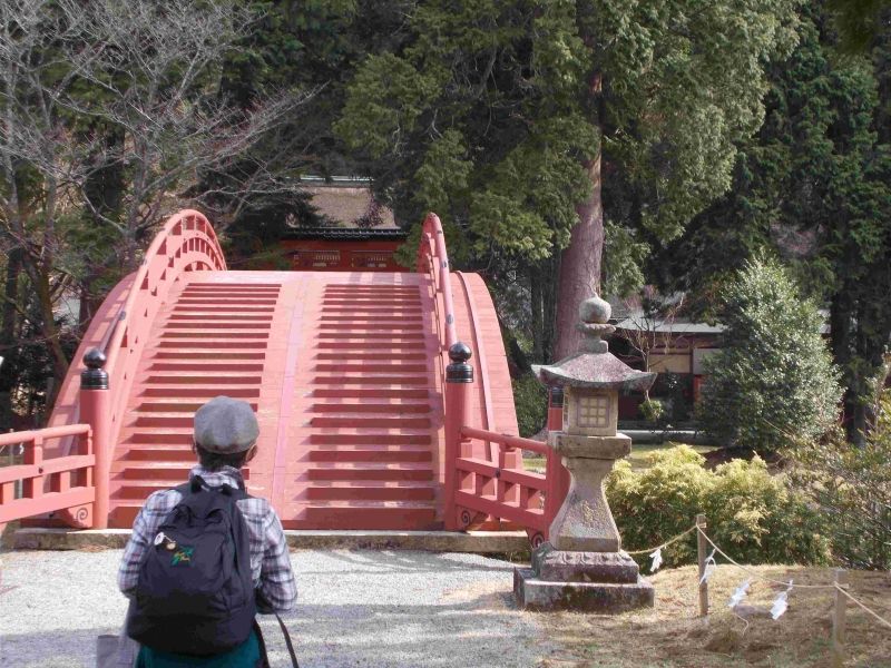 Wakayama Private Tour - Curved bridge at Nyutsuhime shrine.