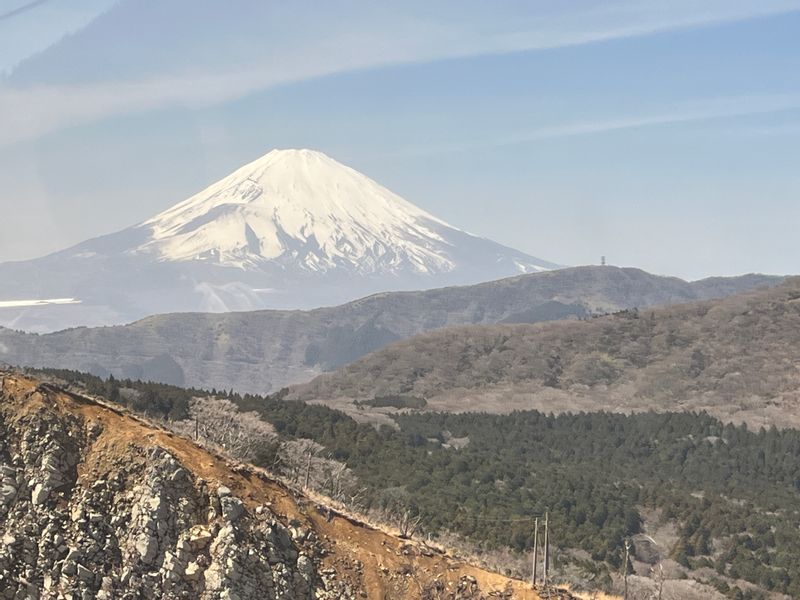 Hakone Private Tour - Mt. Fuji from Gondola