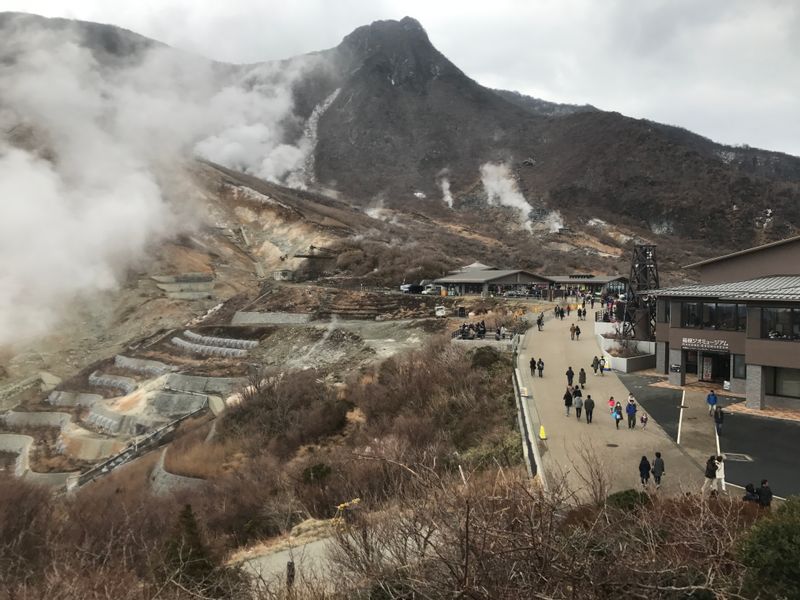 Hakone Private Tour - Owakudani Valley